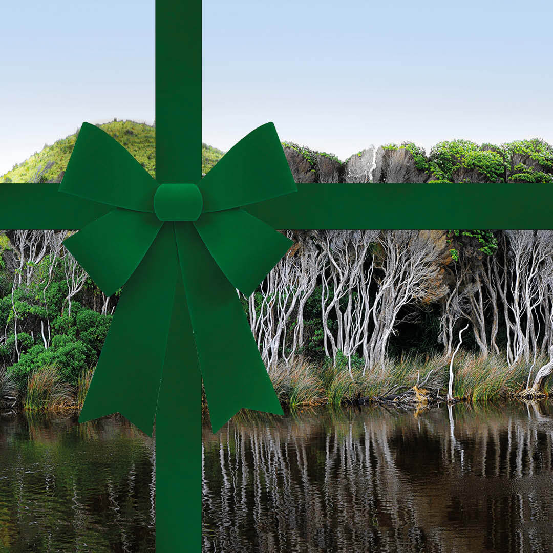 Gift card for Australian Bodycare - Image 9