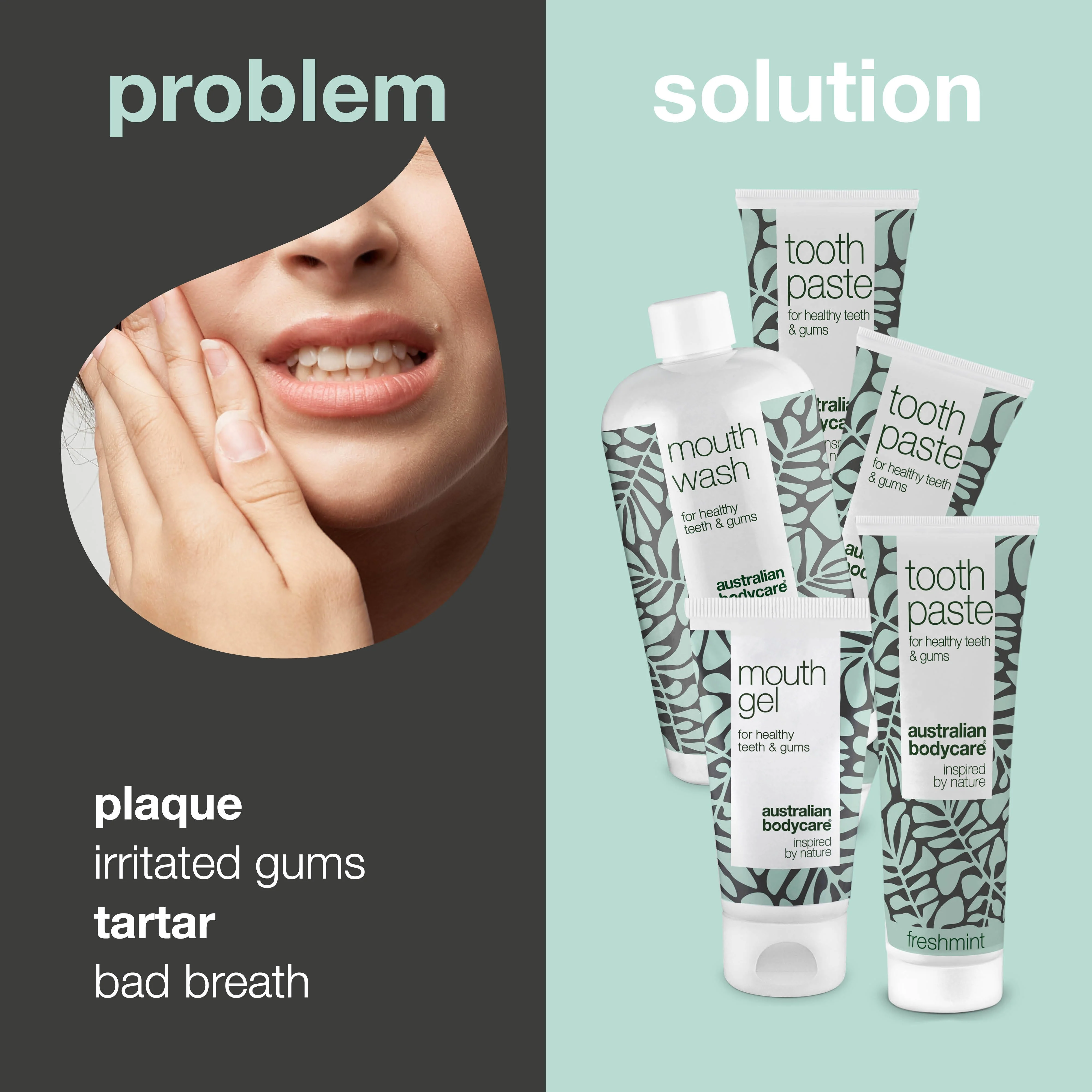 Care Pack for Plaque and Tartar — Prevent Plaque and Tartar - Image 2